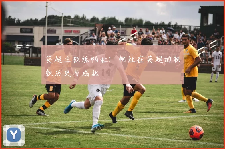 英超主教练帕杜：帕杜在英超的执教历史与成就
