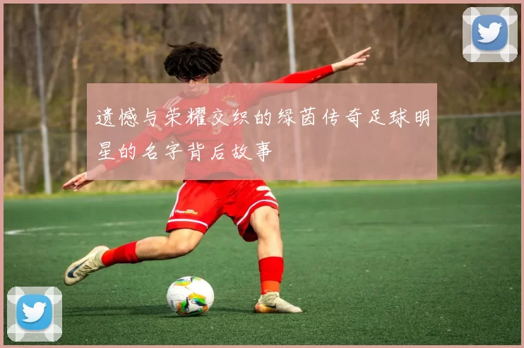遗憾与荣耀交织的绿茵传奇足球明星的名字背后故事