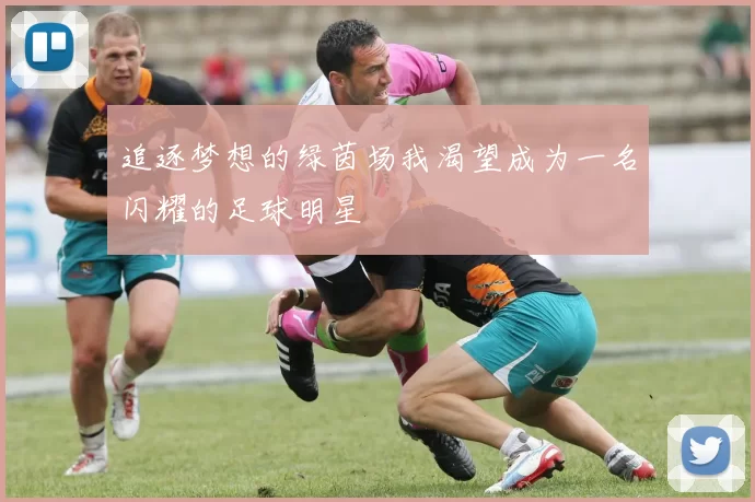 追逐梦想的绿茵场我渴望成为一名闪耀的足球明星