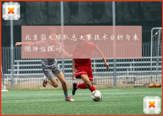 北京羽毛球队总决赛技术分析与表现评估探讨
